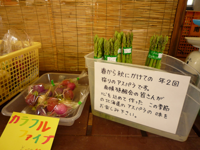 是非色々な野菜をお試し下さい！